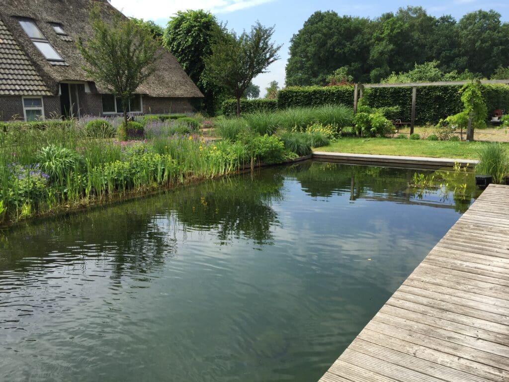 zwemvijver